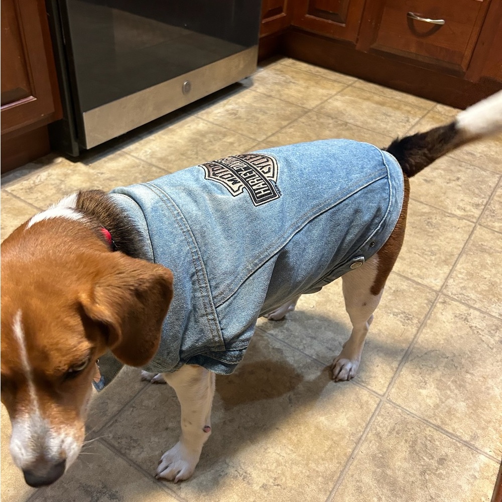 HARLEY DAVIDSON ~ dog denim jacket/vest size Medium** - Picture 4 of 8
